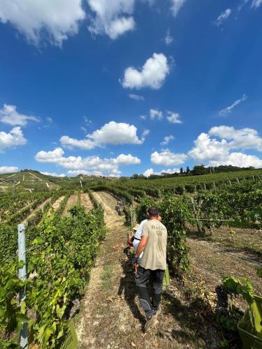 Cascina Baràc - image 7