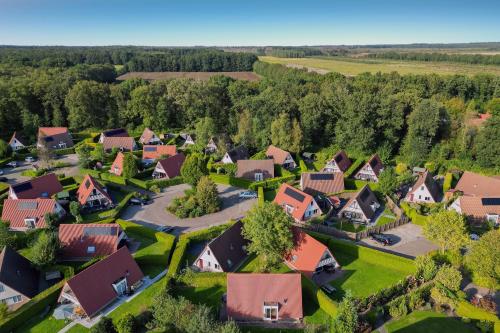 Bonte Vliegenvanger in 茲維赫爾特