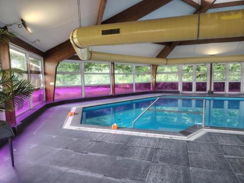 泳池, Bonte Vliegenvanger in 茲維赫爾特