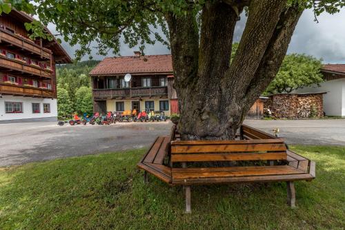 Peterbauerhof, Ramsau am Dachstein (foto 4)