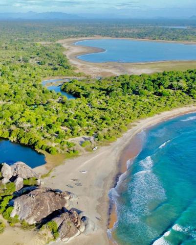 Footprints in Panama
