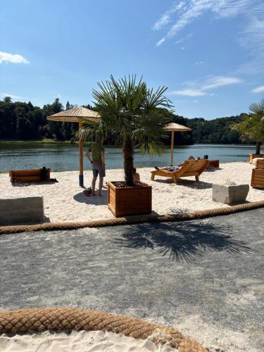Eifelhauschen am See in Hamm (Bitburg-Prum)
