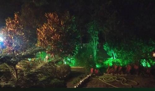 Dausa Aranyak Nature's Pride Hotel view