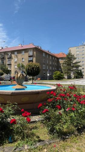 Jardín, Apartment by the Fountain in the Center of Banska Bystrica in Banska Bystrica City Center