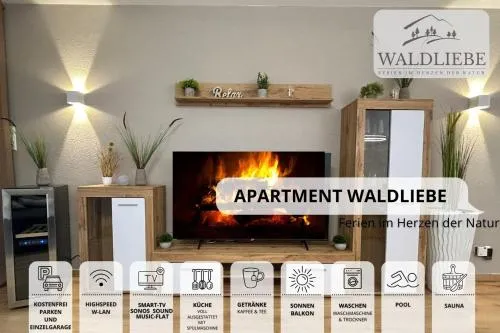 Exklusives 5-Sterne Apartment Waldliebe mit Indoor-Pool, Sauna, top Lage und Ausblick in die Natur, Hunde willkommen in Schonach, Deutschland