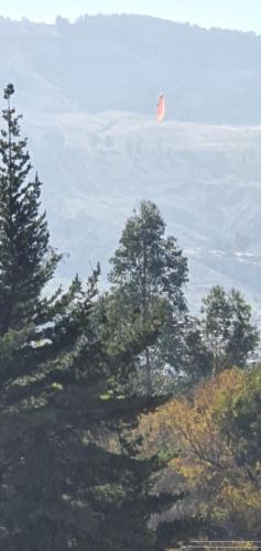 Mayk, Sacaba (Foto 3)