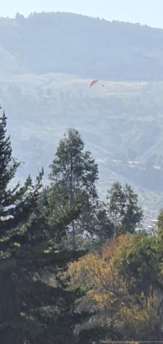Mayk, Sacaba (Foto 5)