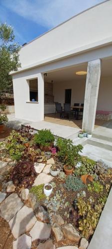 景觀, B&B Vela Luka in 韋拉盧卡