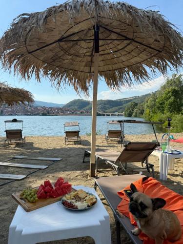 CHALET Orsova, Oršava (fotografie 7)