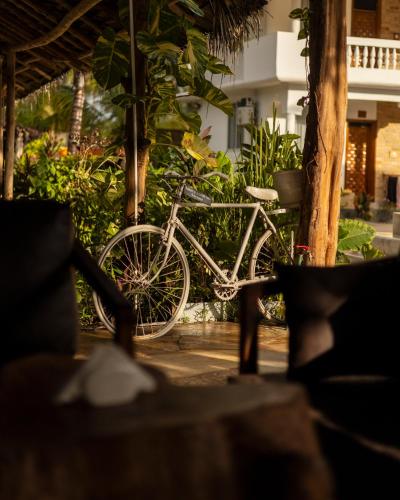 Mem Luxury Apartments and Hotel – Paje