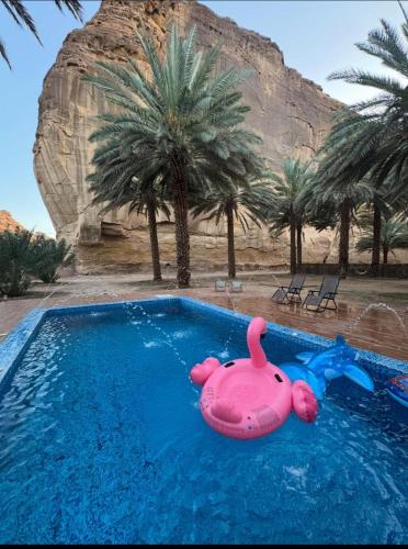 منتجع ومزرعة الجبليـن, Al Ula