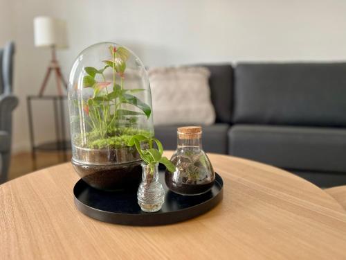 Zur Kaiserin - im Suden Berlins in Tempelhof