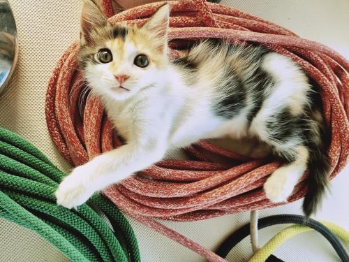 Voilier prive en pension complete in Marquesas Islands