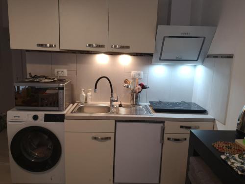 Bled apartma Lesnik Vila Ziba 4-Star Single Room pool