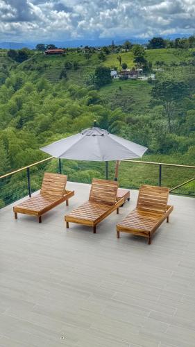 Casa RIO - Luxury Above the River in 산 호아킨
