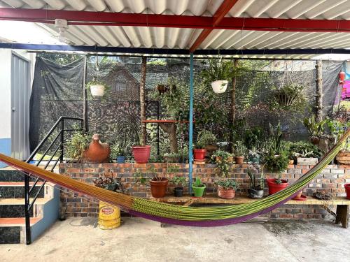 Hospedaje Campestre Las Palmas 104 in Choachi