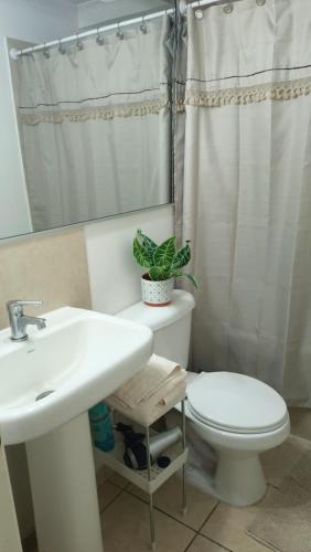 angysol in 拉欽巴