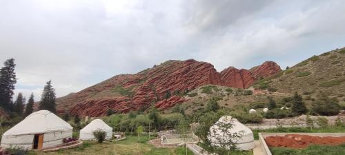 Жибек