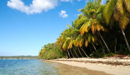 Praia, Au Nid de KLOE, plage & piscine in Grand-Bourg