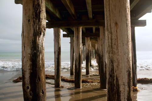 Cayucos Beach Inn - image 11