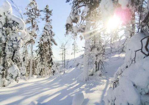Hotelli Sodankylä - main image