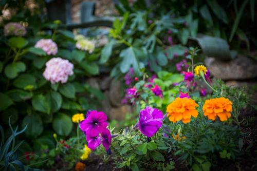 卡罗琳娜别墅酒店