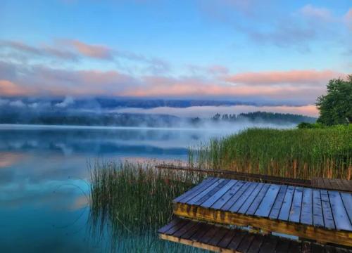 SeeSternchen in 濱湖法克