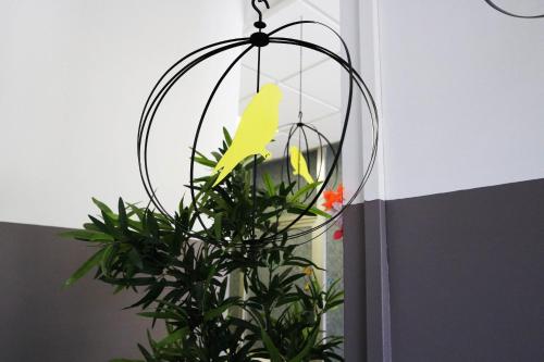 Panda Hostel – Milan, DC