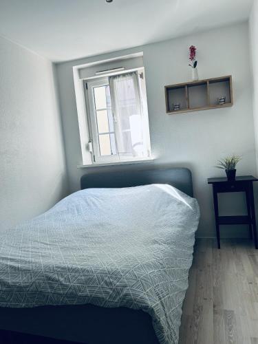 Petit coin tranquille a 2 pas de strasbourg, Strasbourg (photo 8)