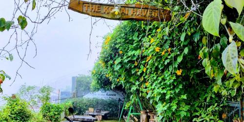 The Kodai Heaven