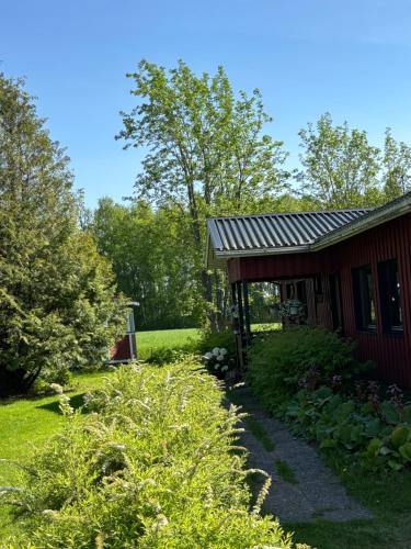 Villa MarBet in 哈馬