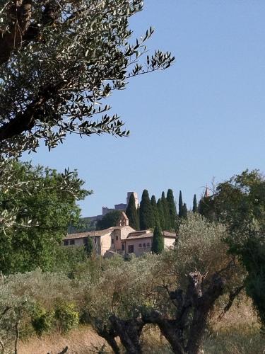 Photo - All'Ombra di San Damiano