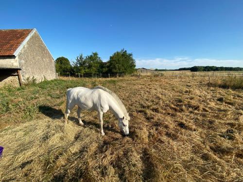La campagne près de la ville (La campagne pres de la ville) in Crotelles