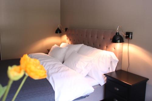 Iekārtas, Haukeli Hotel in Edlandsgrend