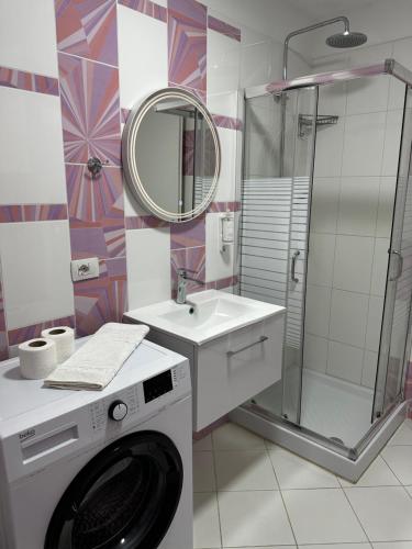 One-Bedroom Apartment image 4