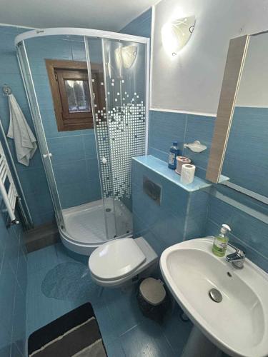 Vila Robert, Slănic-Moldova (foto 10)