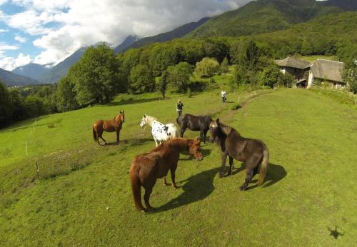 Domaine de la Safranière Alpes Françaises (Domaine de la Safraniere Alpes Francaises) in Saint-Leger (Rhone-Alpes)
