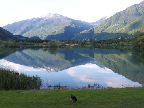 Domaine de la Safranière Alpes Françaises (Domaine de la Safraniere Alpes Francaises) in Saint-Leger (Rhone-Alpes)