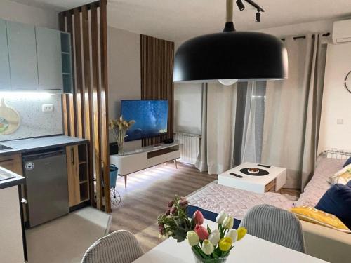 Veskovski-apartment in the center of Skopje, Skopje (fotografie 3)