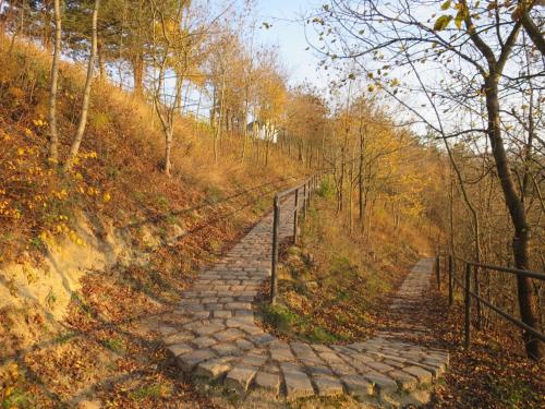Sports un aktivitātes, Szonyi uti vendeghaz in Zebegeny
