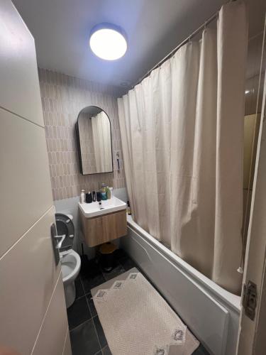 Lovely 2 bedroom Garden Flat apartment in West Kensington, Londýn (fotografie 10)