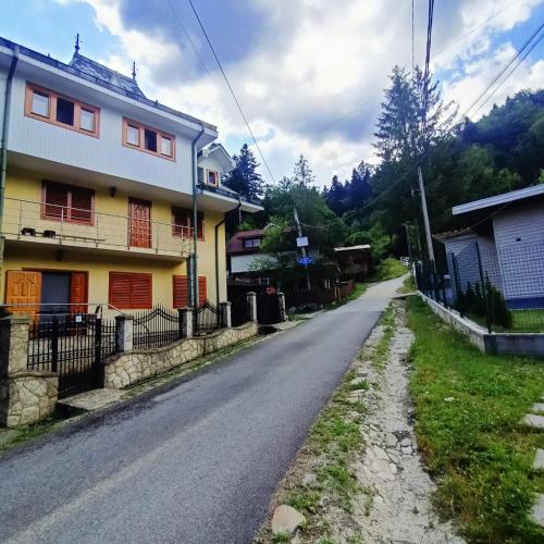 Vila Robert, Slănic-Moldova (foto 2)