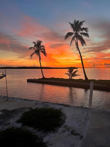 Chokoloskee Island RV Park in Chokoloskee (FL)