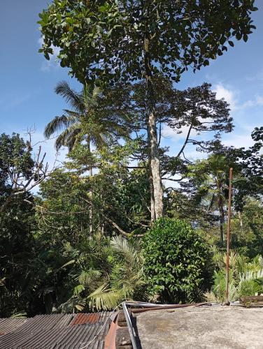 River Cliff villa in Sumbermujur