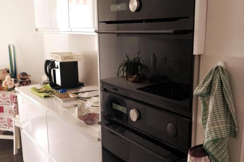 Spacious 2 Bedroom Apartment in Central Geneva, Genewa (zdjęcie 9)