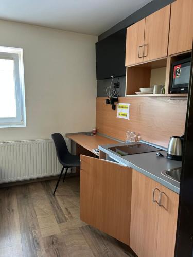 Kitchen, Penzion u Fika in Slezska Ostrava