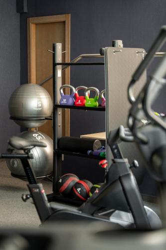 HCC Lugano - image 4