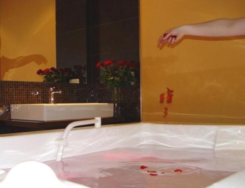 Parkhotel Bad Schandau - direkt an der Elbe – Bad Schandau, MA