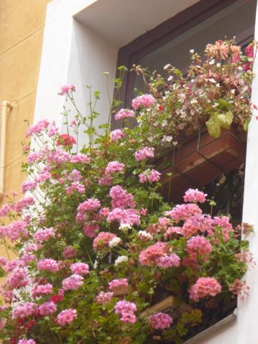 Hostal Huespedes Toledo - image 13