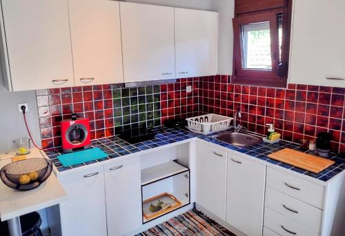 MickeyHouse, Agria (photo 7)
